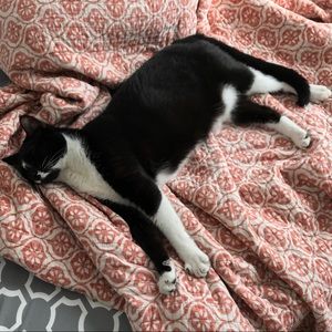 Meet your Posher, Freddy